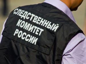 Главе ведомства будет представлен доклад о ходе установления обстоятельств противоправной деятельности в Котельниках Московской области